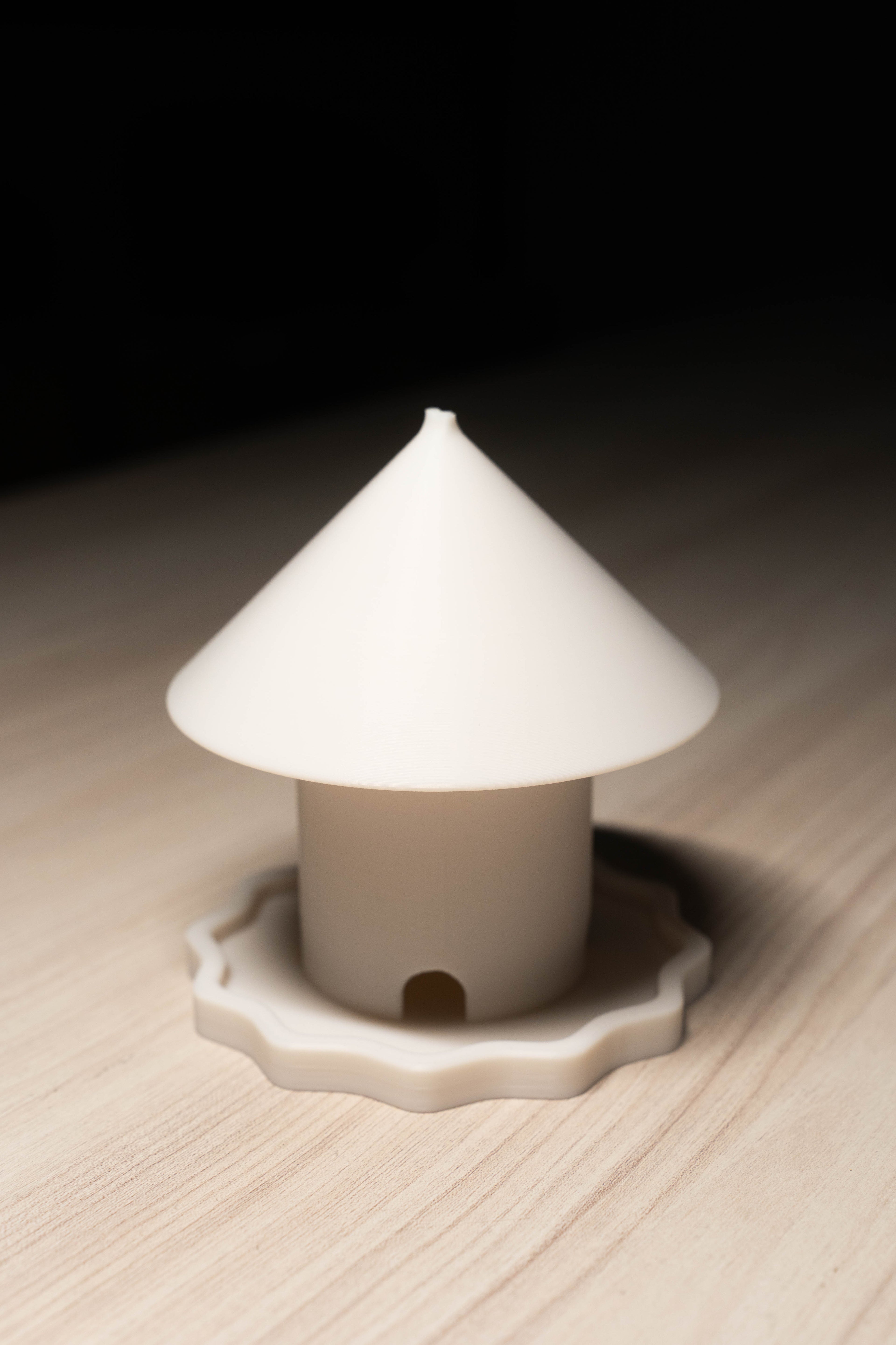 Inn 3D ASA